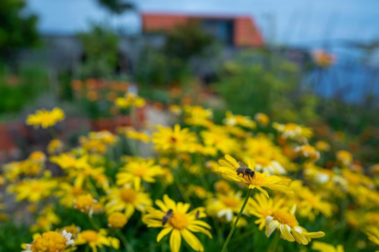 Casas Da Vereda Estreito Da Calheta Ruang foto